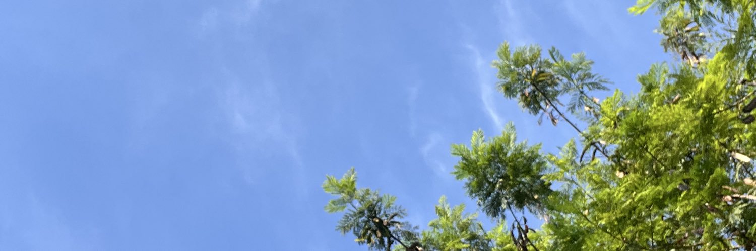 euprefirogabi's profile banner image