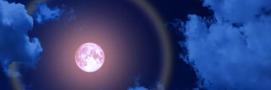 smartywitch's profile banner image