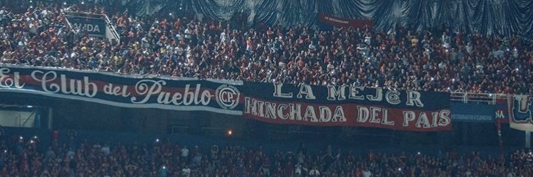 Nata Falcon banner