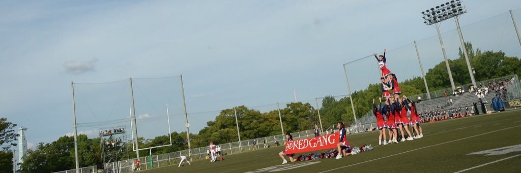 redgangers's profile banner image