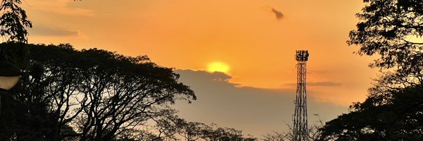 natoreyes Profile Banner