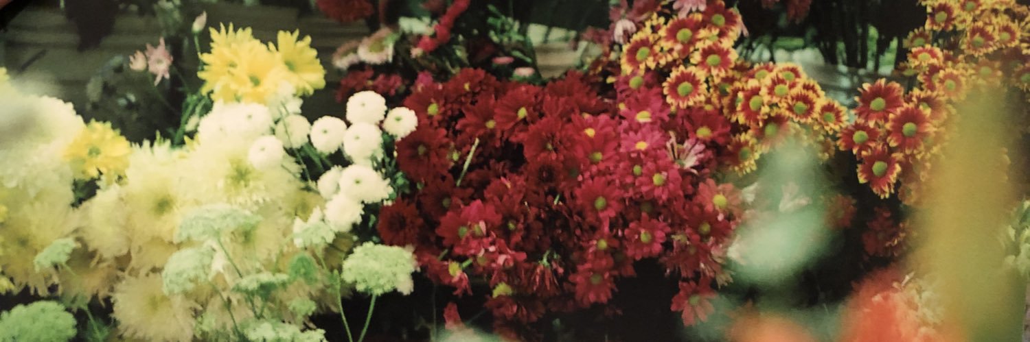 SandiAlcala's profile banner image