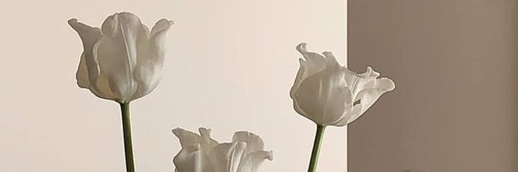 FKwwf_L's profile banner image