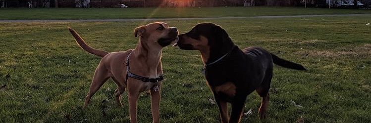 CassandraMcgra1's profile banner image