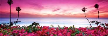 clickme196's profile banner image