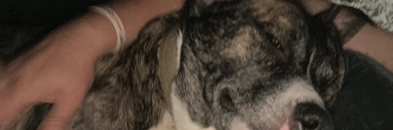 BaileyBargdill's profile banner image