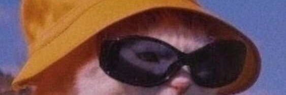 sheleogurl's profile banner image