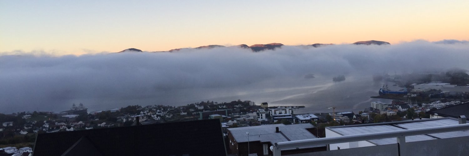 Reidun Langeland banner