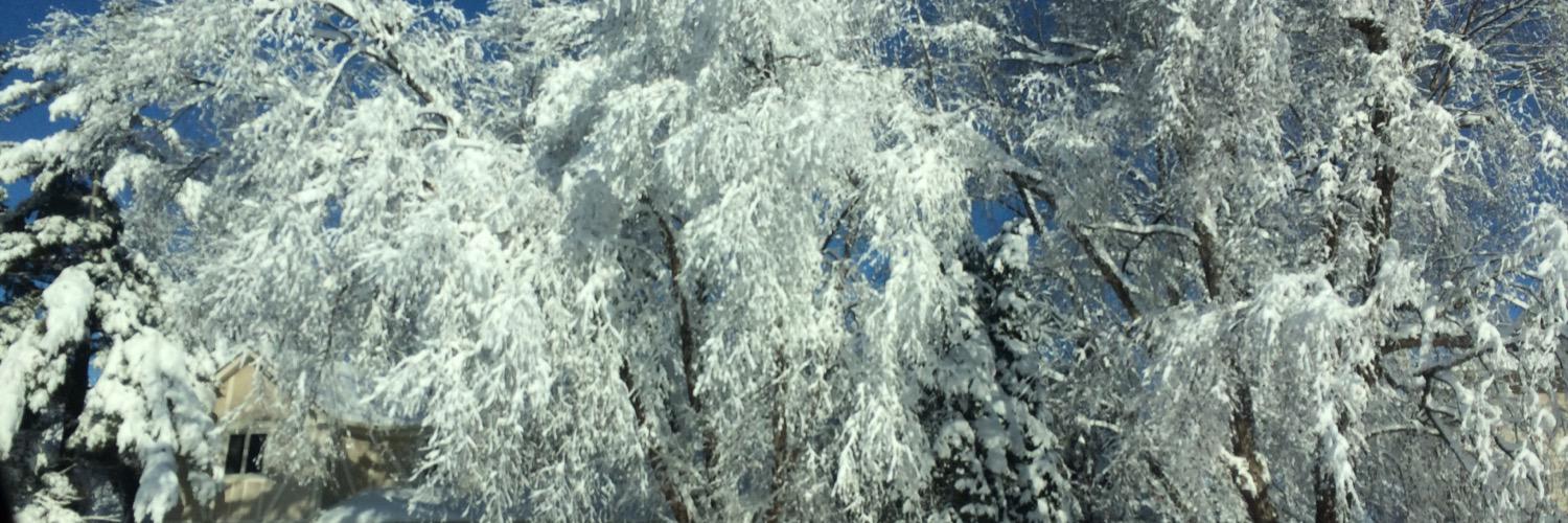 aeb019's profile banner image