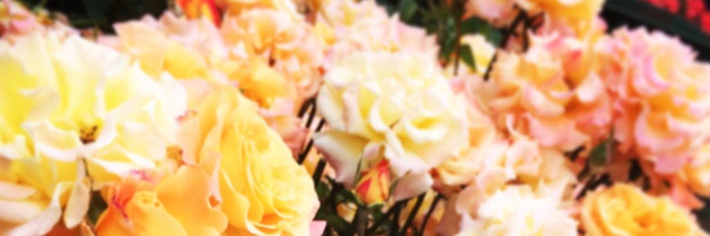 saaaayk13's profile banner image