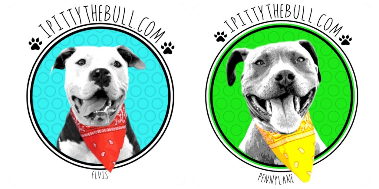 iPittytheBull Foundation banner