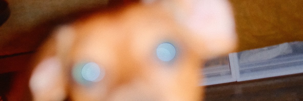 mvanhay's profile banner image