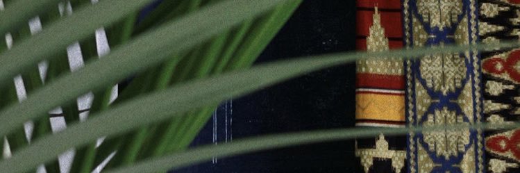 subtilized's profile banner image