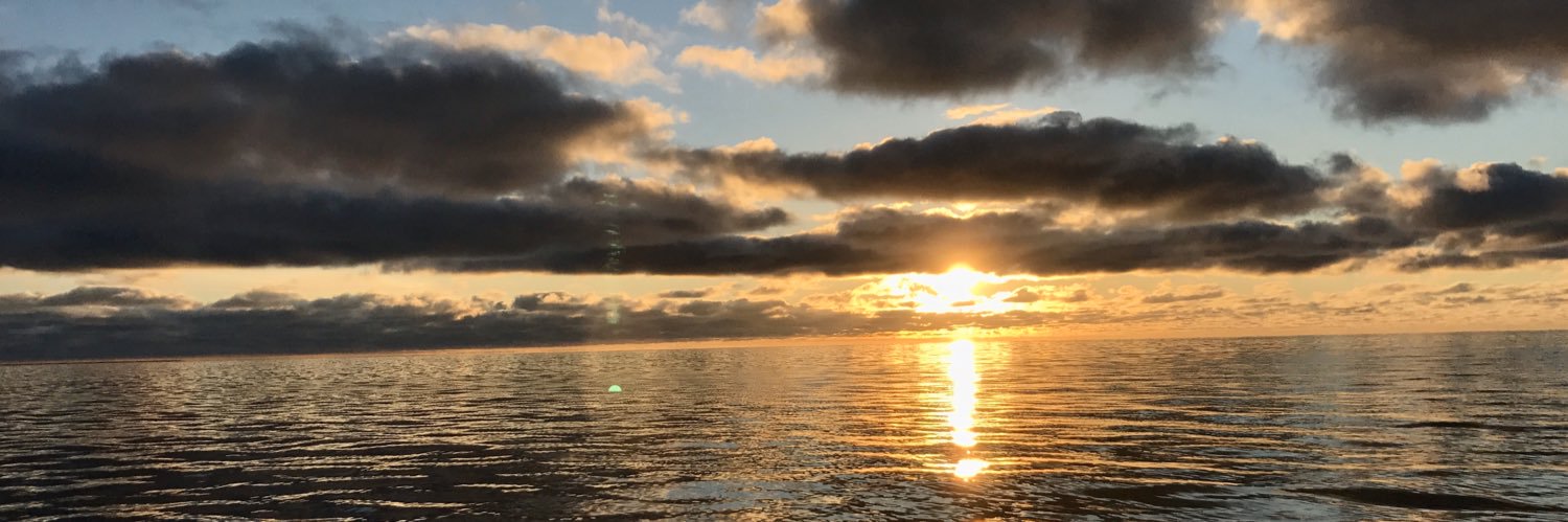 marlisulak's profile banner image