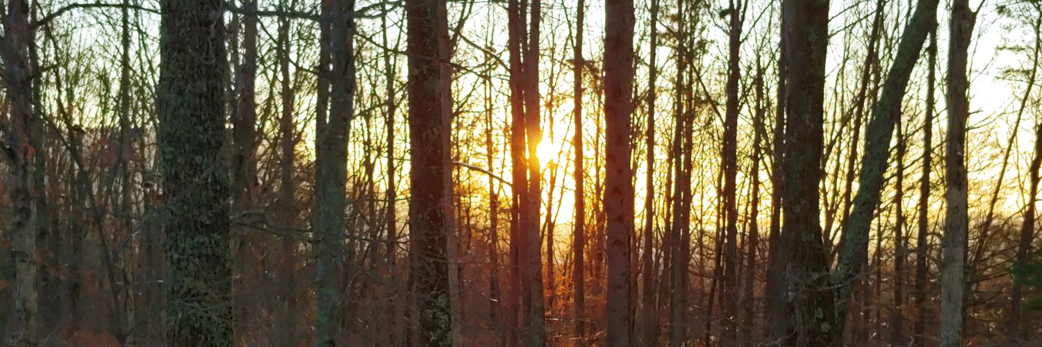 JAllen483's profile banner image