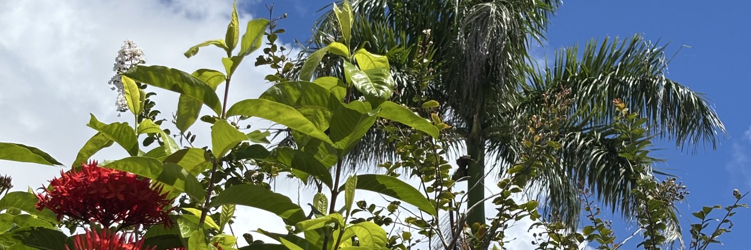 dubjun777's profile banner image