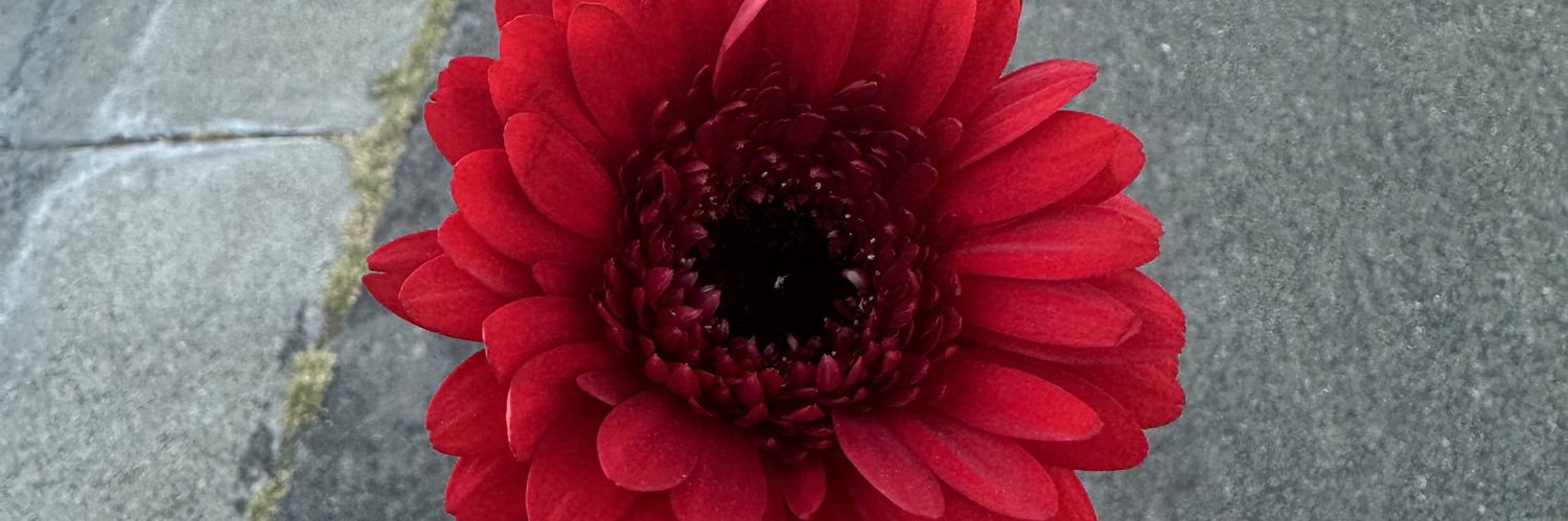 tete08642's profile banner image