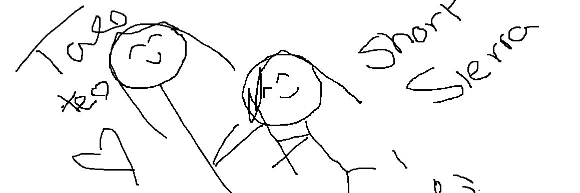 evowyn's profile banner image