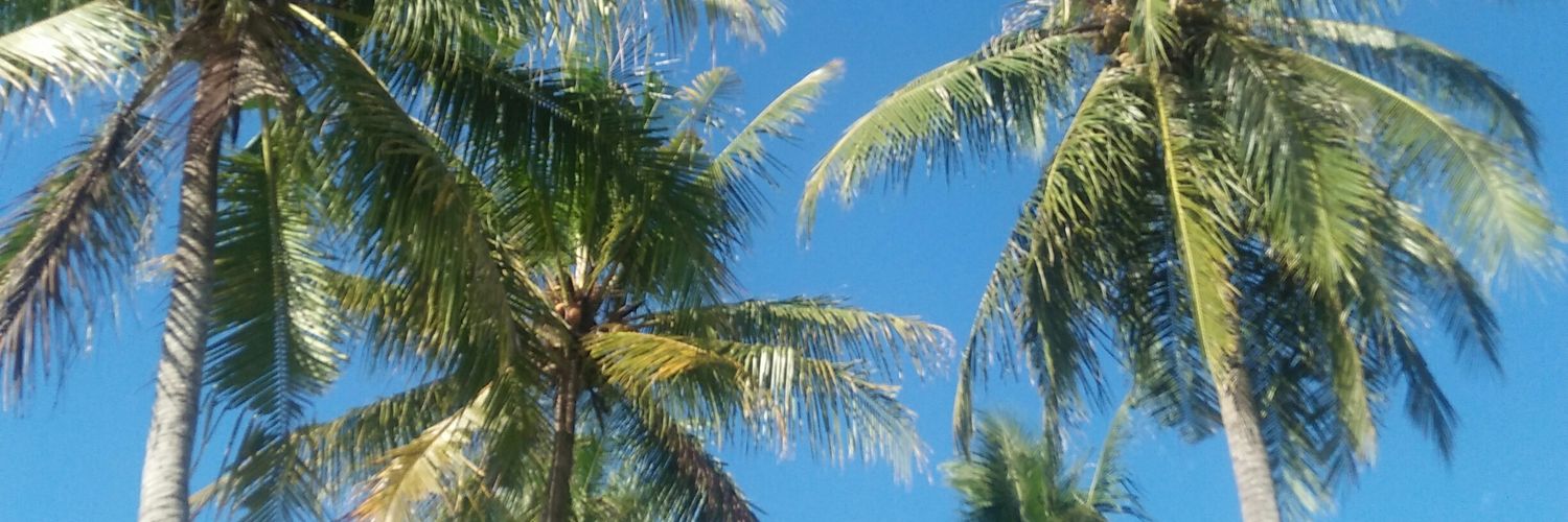 radityahw_'s profile banner image