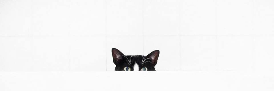 tuckk4's profile banner image