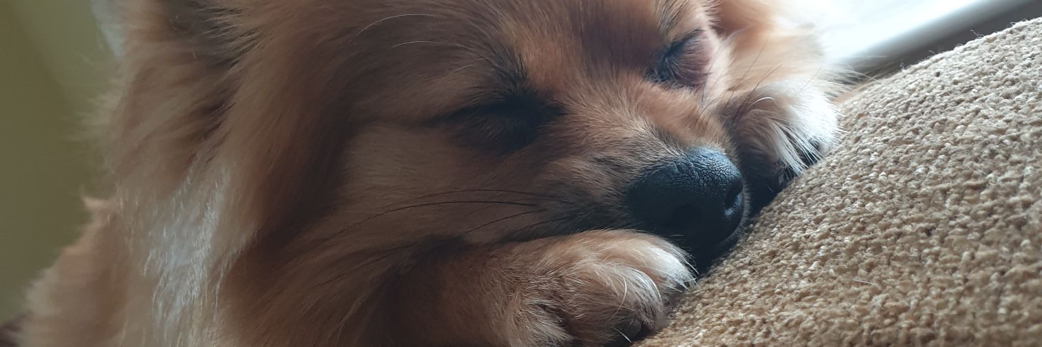 MissMartindale_'s profile banner image