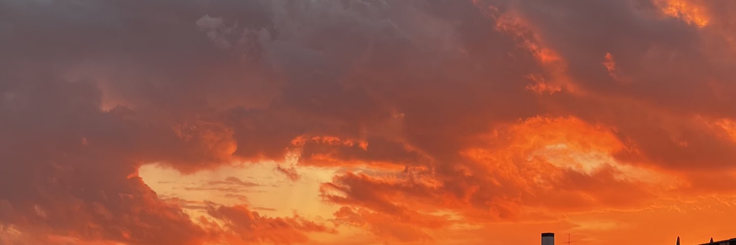 лемминг banner