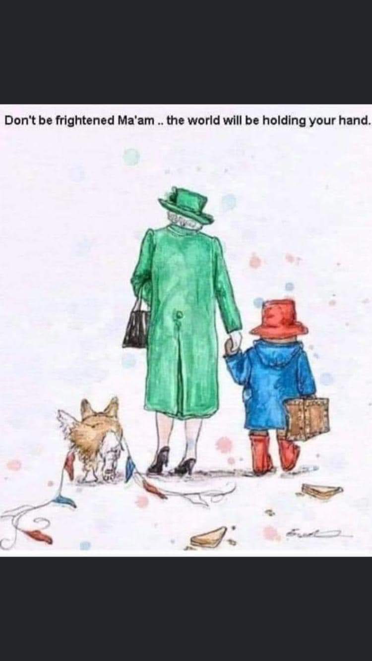 Mick Williams banner