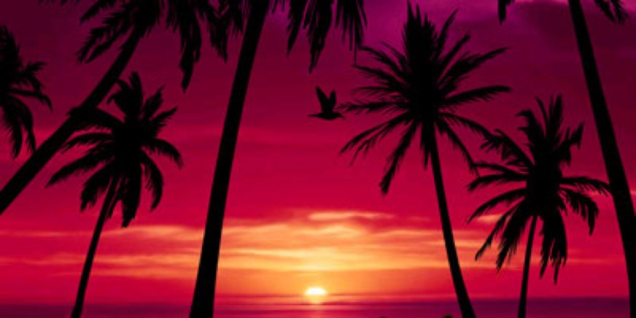 Latinopulu Afroditi banner
