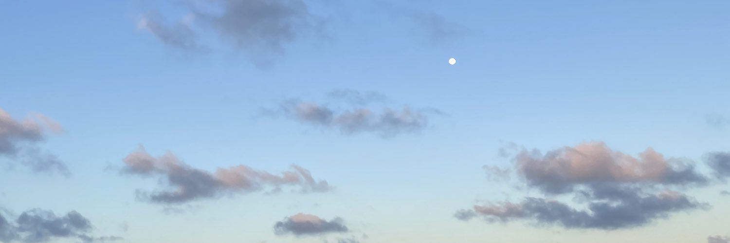 mejiaNadia's profile banner image