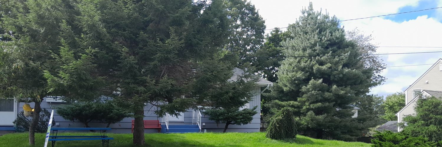 brightabundance's profile banner image