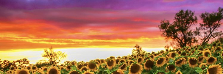 gorgAthenaa's profile banner image