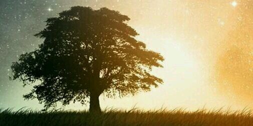 _____ReO_'s profile banner image