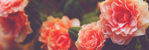 iKnarls13's profile banner image