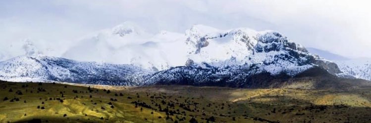 bernabasarir's profile banner image