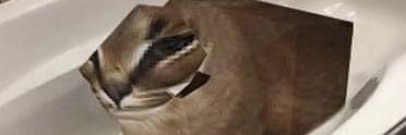 ohmmsons's profile banner image