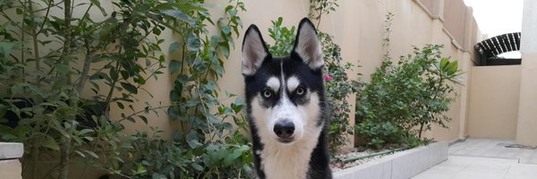 KINGSABRI Profile Banner