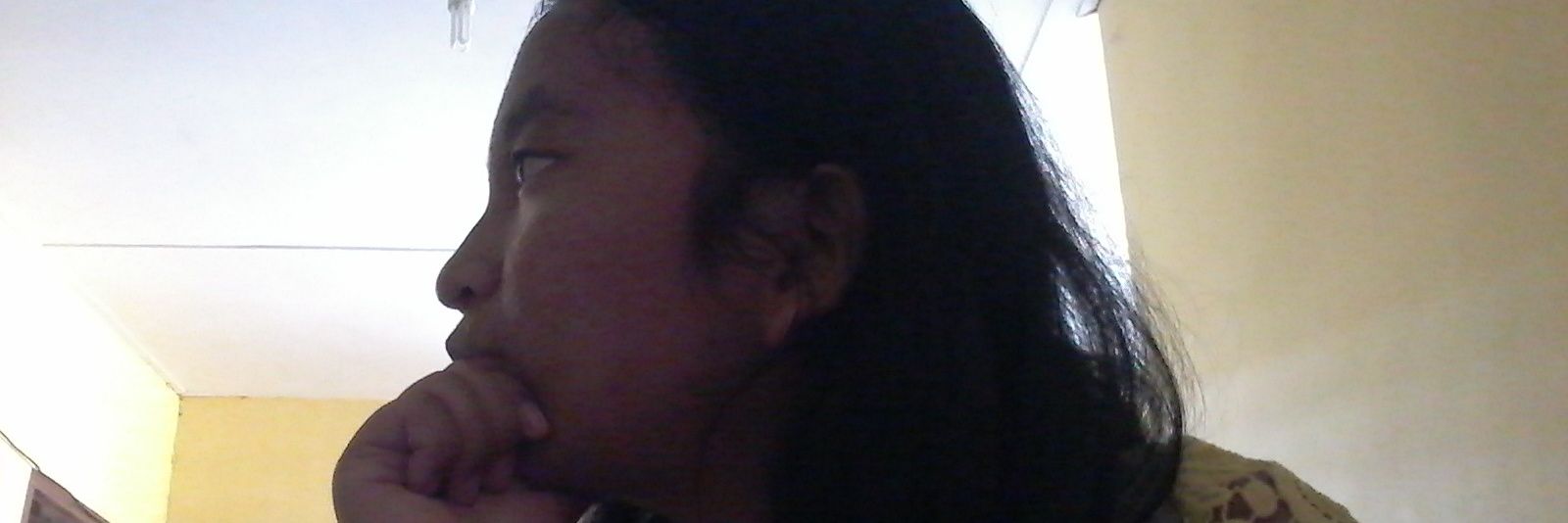 anisa_fmsas's profile banner image