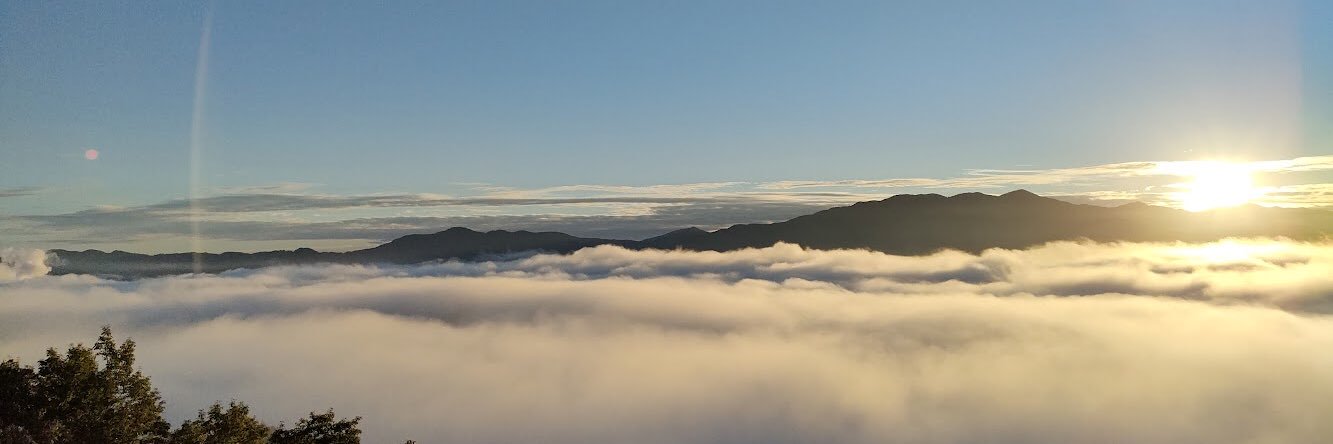 tapiokavaio's profile banner image