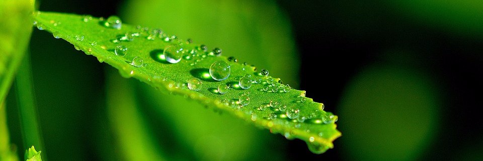 enviroesquire's profile banner image