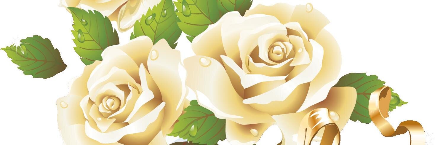 coco_B305's profile banner image