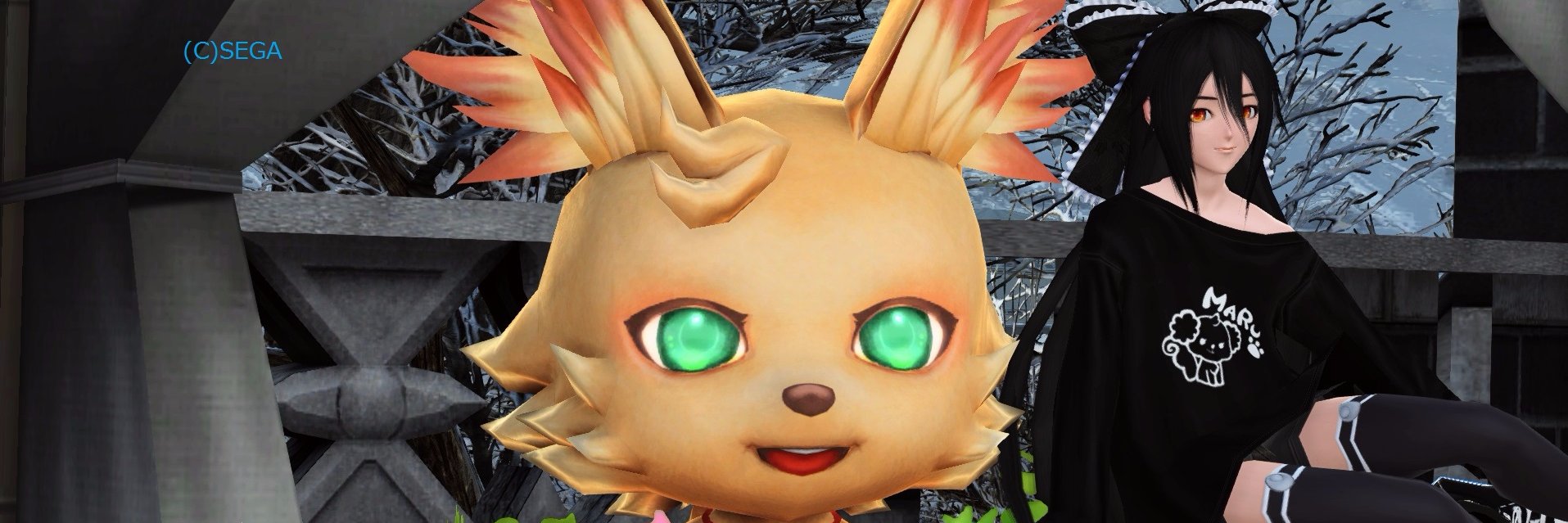 Kiruka787's profile banner image