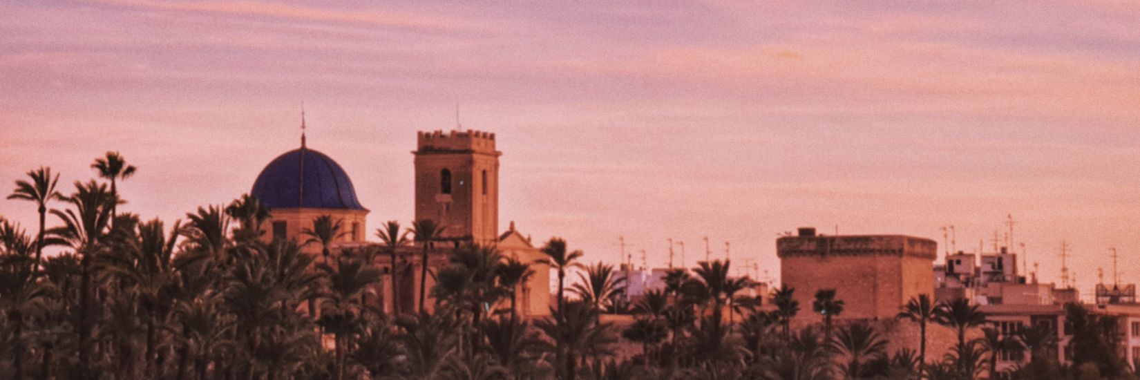 Yanick 🇦🇲 ن banner