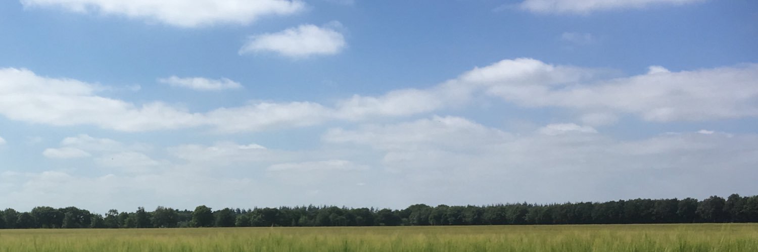MichielPostema's profile banner image