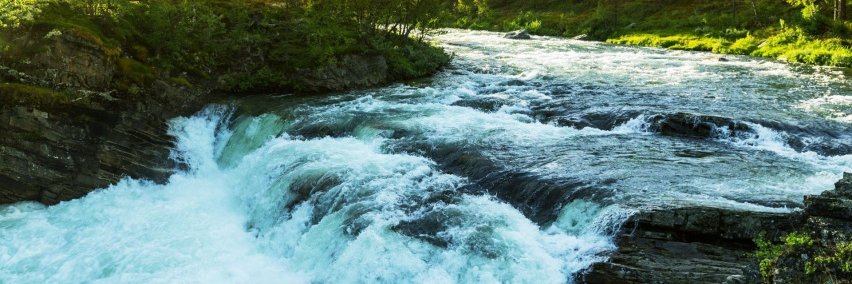 Watermgt's profile banner image