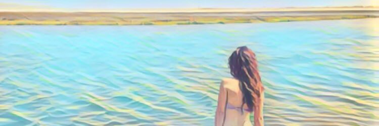 priss_ap's profile banner image