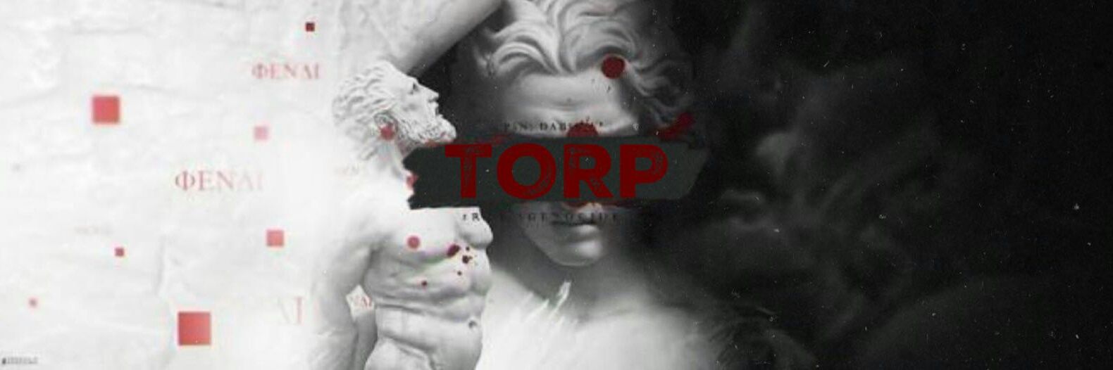 torpyonetim's profile banner image