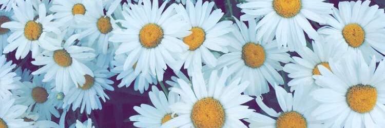 zoyaa_jay's profile banner image
