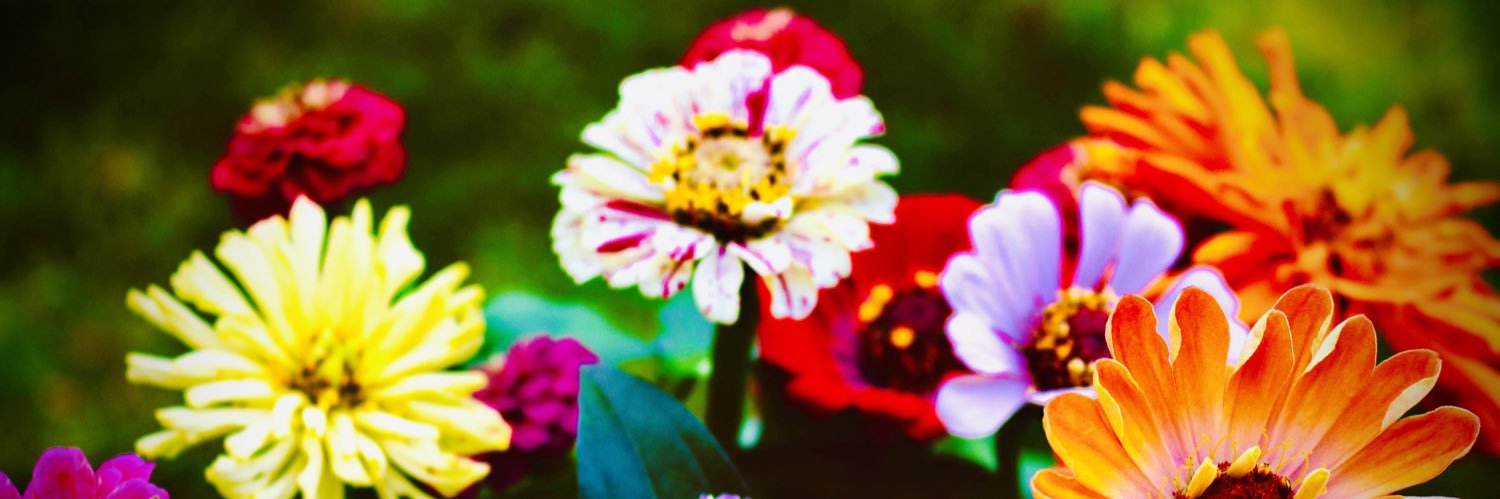 justinetf's profile banner image