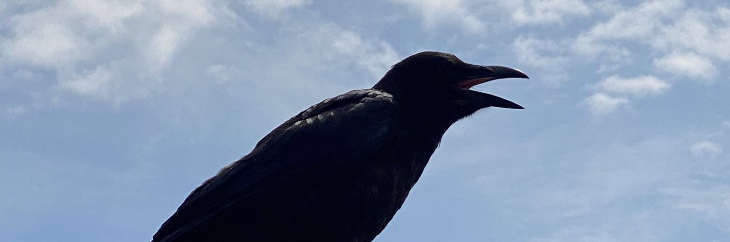 muscle_Crazier's profile banner image