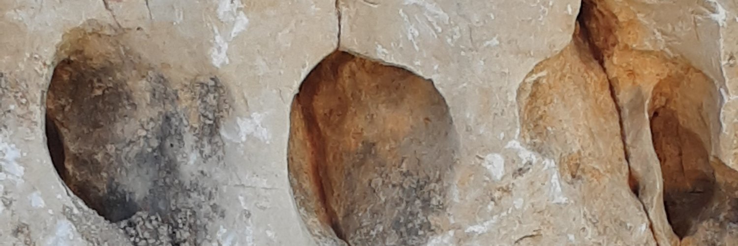 feodor21's profile banner image